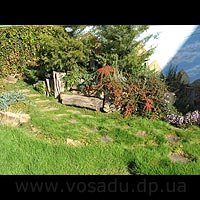 ���-������. ��.�������, ��������������.