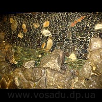 ���-������. ��.�������, ��������������.