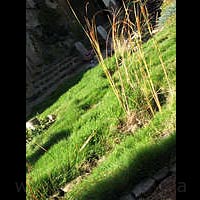 ���-������. ��.�������, ��������������.