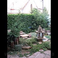 ���-������. ��.�������, ��������������.