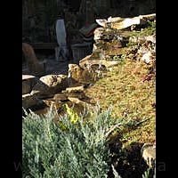 ���-������. ��.�������, ��������������.