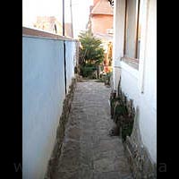 ���-������. ��.�������, ��������������.