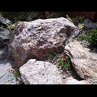 ����������. ��������� ���.