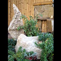 ����� �����. ����������.