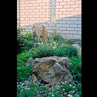 ����������. ��������� ���.