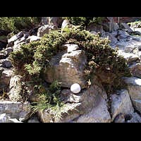 ����������. ��������� ���.