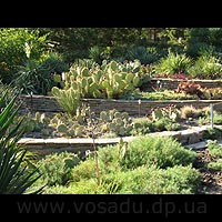 Никитский ботанический сад - Опорные стенки