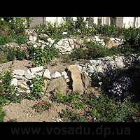 Никитский ботанический сад - Опорные стенки