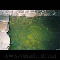 ���-������ - ������