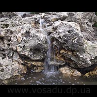 ��� �� ����� ������ - ��������