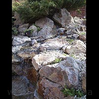 ��� �� ����� ������ - ��������