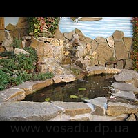 ���-������ - ��������