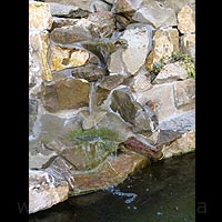 ���-������ - ��������