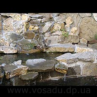 ���-������ - ��������