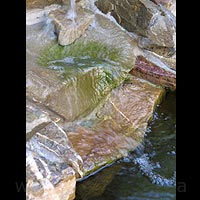 ���-������ - ��������